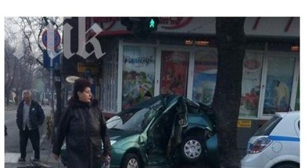 форд размаза дърво центъра варна снимка