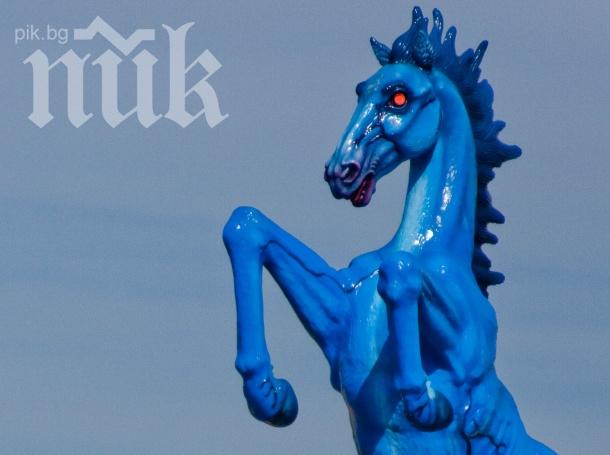 Само в ПИК! Какво ни чака в годината на Синия дървен кон - здраве, бизнес, късмет, любов...