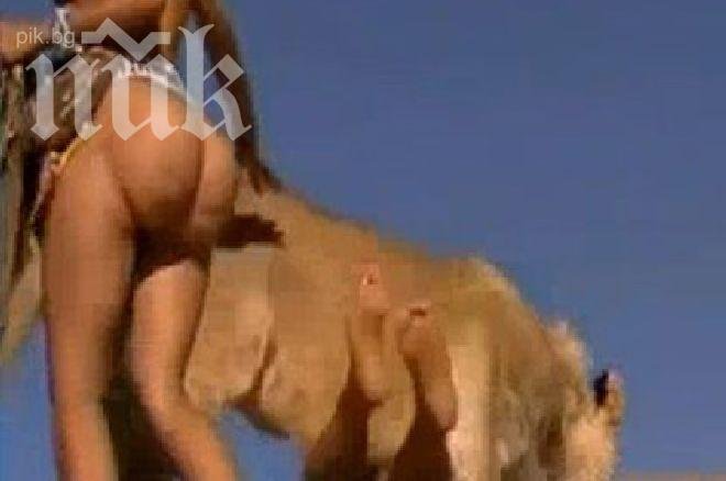 Надарена блондинка бори леопарди и лъвове в смъртоносна игра (видео 18+) 