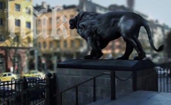 Деси Чуколов и лъвовете пред Съдебната палата - звезди в клип на Атака, станал хит в интернет (видео)