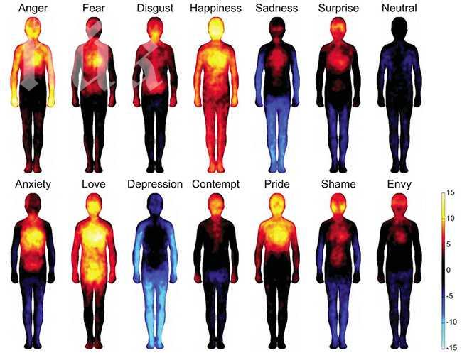 Вижте с кои части на тялото си реагираме на различните емоции (снимка)