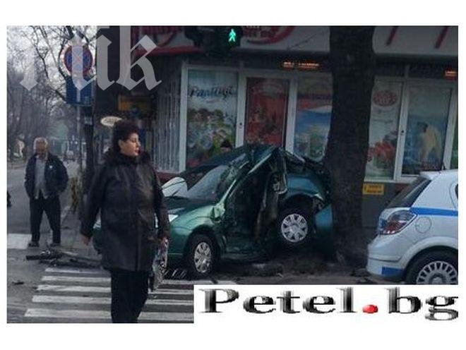 Форд се размаза в дърво в центъра на Варна (снимка)