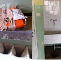 Зловещо! Мишки гризат одеяла в детска клиника в Пловдив, стените приличат на юфка