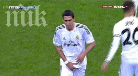 мария извини официално феновете