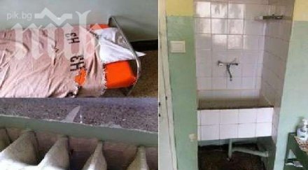 зловещо мишки гризат одеяла детска клиника пловдив стените приличат юфка