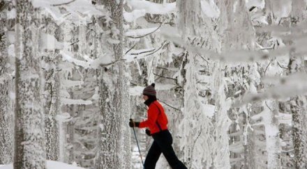 планините идеални ски туризъм
