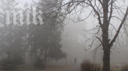 мъглата мъчи българия бан обяви жълт код области