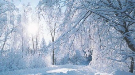 души намерили смъртта заради студа снега сащ