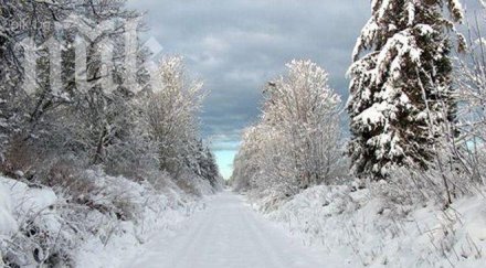 експерт падне сняг идва глад