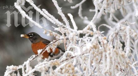 меката зима спести млн