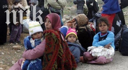 имигранти елхово обявили гладна стачка