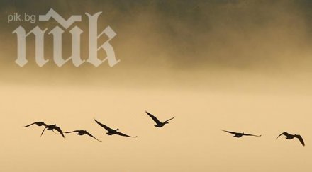 метеоролози природата полудя пролет плюс градуса половин българия другата половина студ мъгла