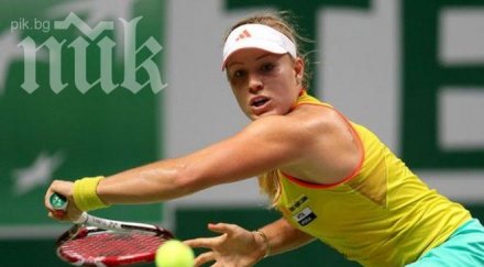 света кербер пътя цвети пътя първия трофей