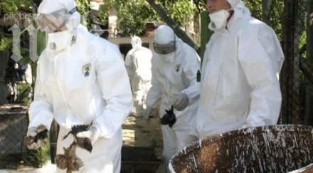 птичият грип взе първата жертва 2014 година