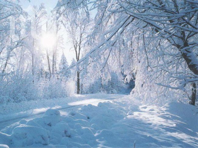 23 души са намерили смъртта заради студа и снега в САЩ 