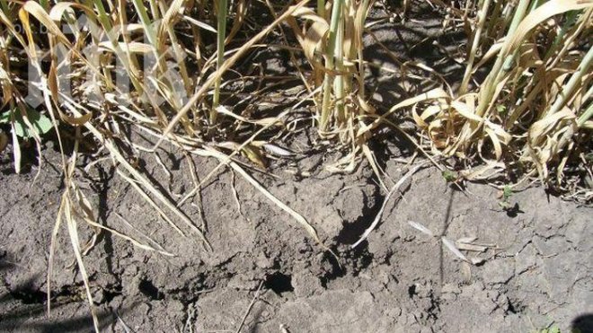 Задава се суша, нивото на реките драматично пада