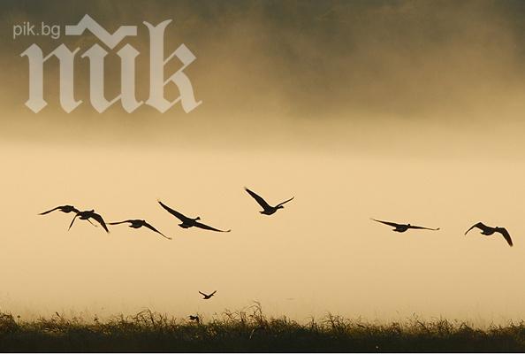 Метеоролози: Природата полудя! Пролет и плюс 16 градуса в половин България, в другата половина - студ и мъгла!