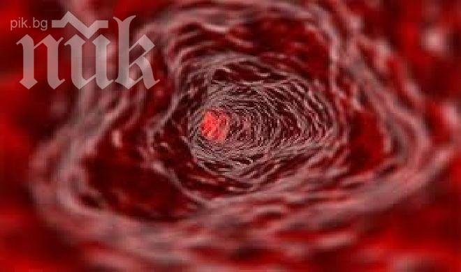 Жена изчезна, срамувала се от кръвосмешения на баща и син с роднини