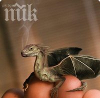 Учени се извиниха, че не могат да направят дракон