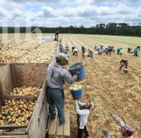 И Холандия и Германия подкрепят идеята за нови ограничения за имигрантите