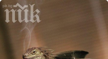 учени извиниха направят дракон