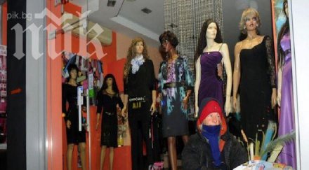 бездомница спи магазини бургас снимка