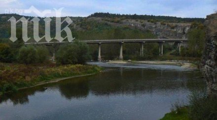 покъртително годишната скочи мост искър била бременна