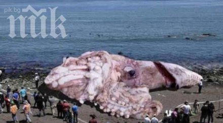 невероятно сепия стана метра заради радиацията