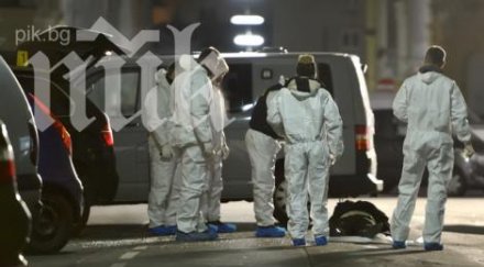 босненец германец издъхнали взривеното виена бмв