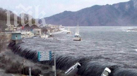 предупреждение цунами труса пуерто рико