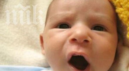 българите заченат