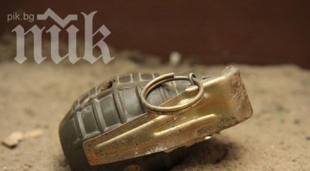 граната взриви българска кола виена