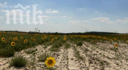 европейски учени суша настъпва балканите следващите десетилетия