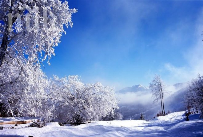 Метеоролози: Яката зима и преспите най-после идват на 20 януари. Студът продължава чак до април, сезоните се изместиха!