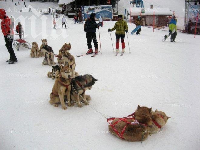 Добри са условията за туризъм в планините