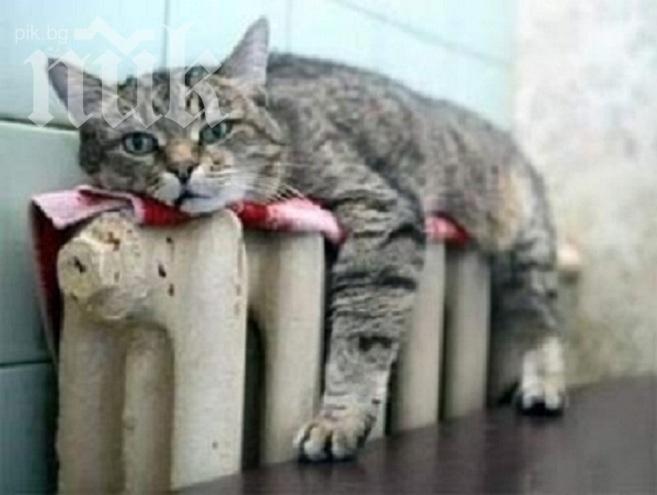 По 19 лв. средно плащат бургазлии за парно