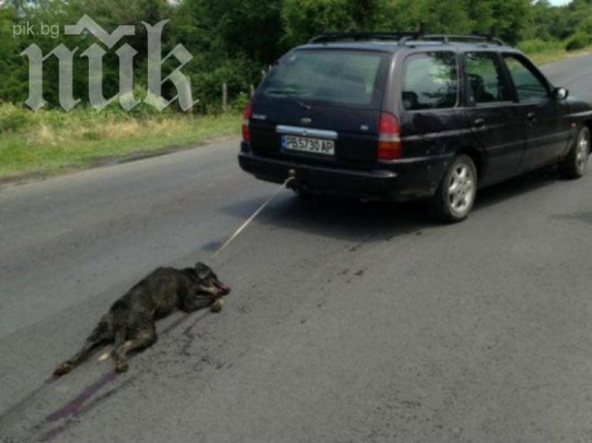 Размазано куче отне ранг на прокурор