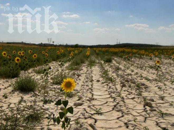 Европейски учени: Суша настъпва на Балканите през следващите десетилетия