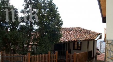 позор вандали изрисуваха свастики къщата музей петко славейков