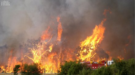 огнен 250 пожара горяха нощ
