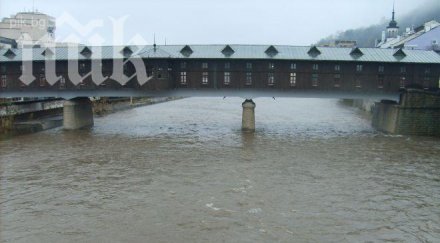 труп изплува река осъм ловеч