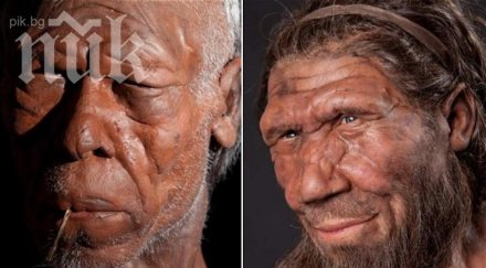 уникално вижте изглеждали неандерталците