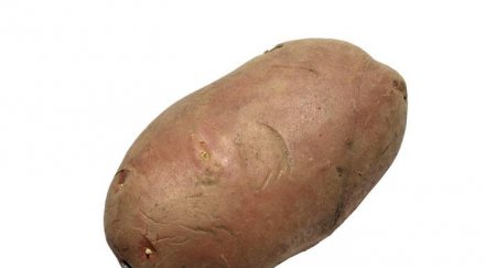 джон кери изненада сергей лавров картоф