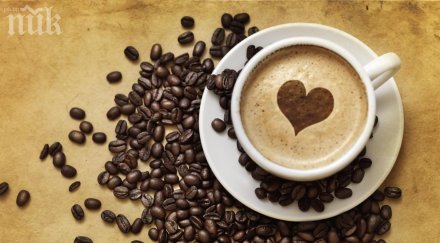 изненада учени установиха кофеинът подобрява паметта