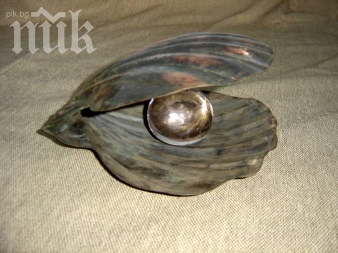 Опасна мида сее смърт