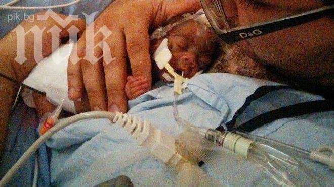 Чудо! Бебе се роди 700 грама, бори се за живота си 4 месеца... и успя! (снимки)