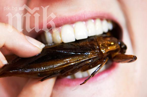 Бум на хлебарки заради топлата зима