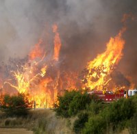 Горя кравеферма в Разградско