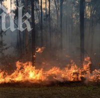 Един човек е загинал при голям горки пожар Австралия
