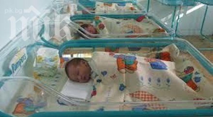 изоставените близнаци варна намериха дом